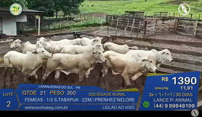 Leilão Virtual da Sociedade Rural de Laranjeiras do Sul,  movimenta mais de um milhão e quatrocentos mil reais na economia local 